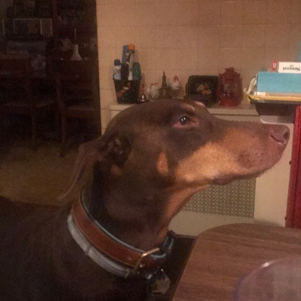 Meet your Posher, Carol